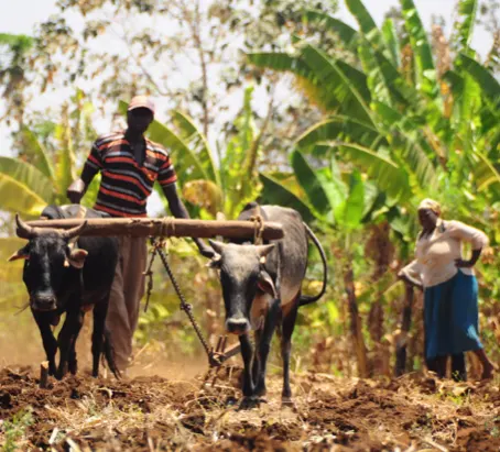 Technology’s Agricultural Revolution