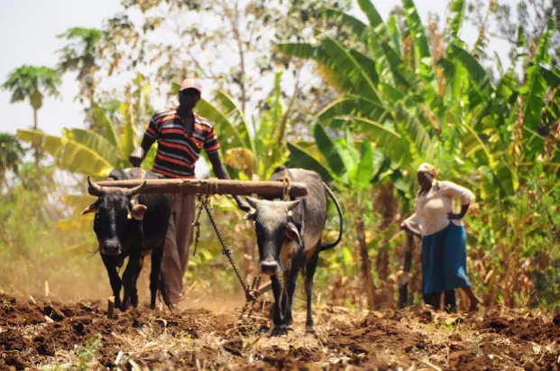 https://www.flickr.com/photos/cgiarclimate/5217557970