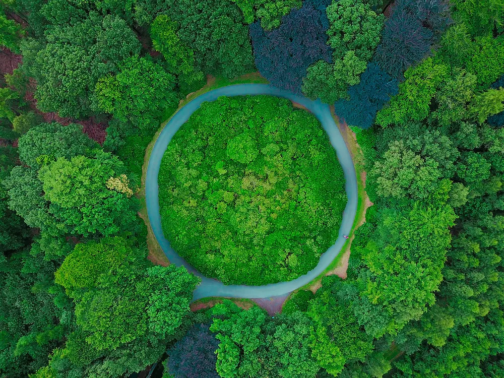 Photo by Thomas Lambert on Unsplash