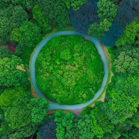 Let's talk biodiversity