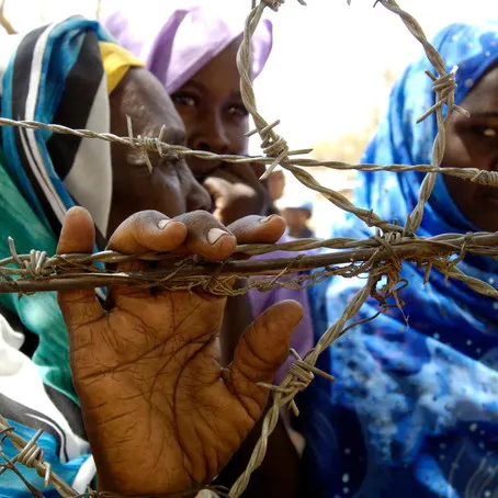 Polygamy: A Breeding Ground for Warfare?