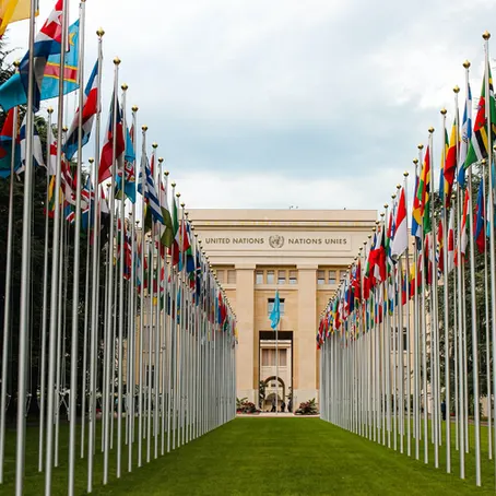 Human Rights and the Hypocrisy of the United Nations 