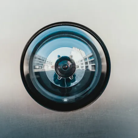 Using Your Face Against You: Facial Recognition and Oppressive Surveillance in America