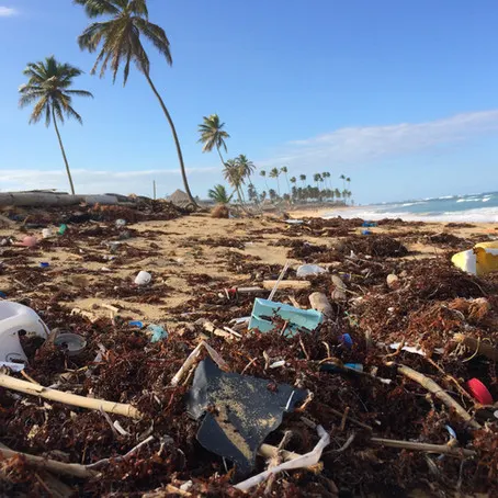 The Plastic Bank